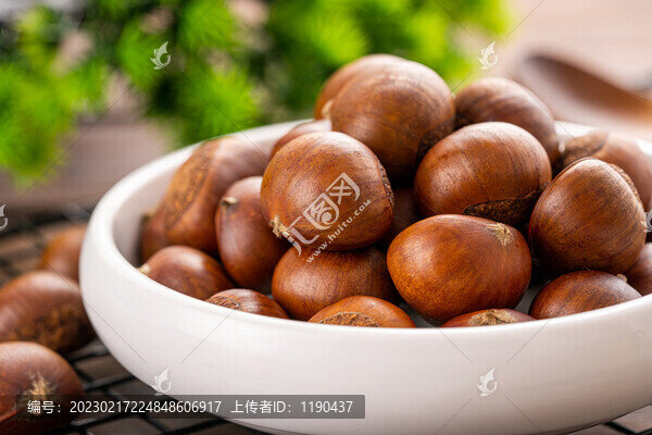 板栗