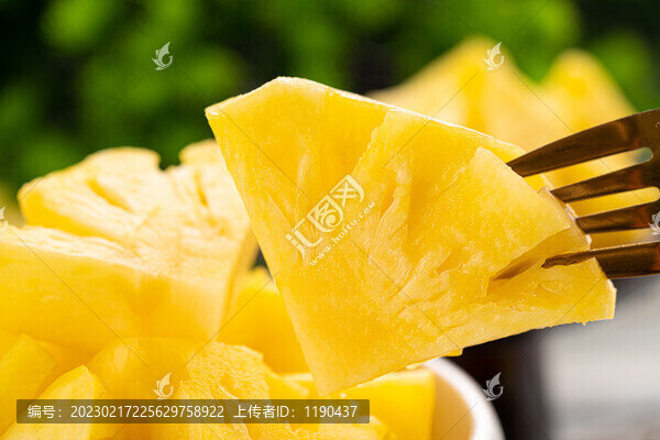 菠蘿