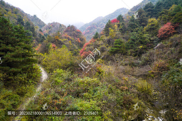 山間小道