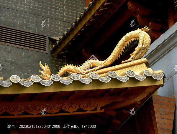檐角金龍