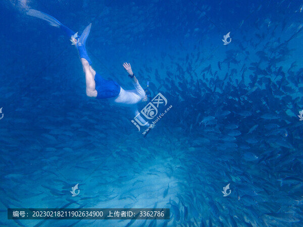 去海底和魚(yú)群一起撒野