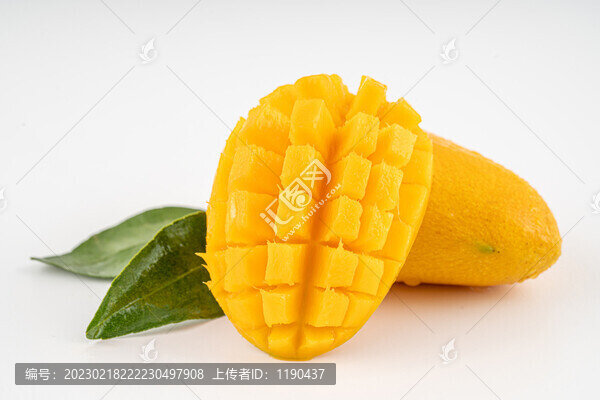 小臺(tái)芒
