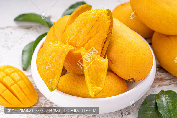 小臺芒