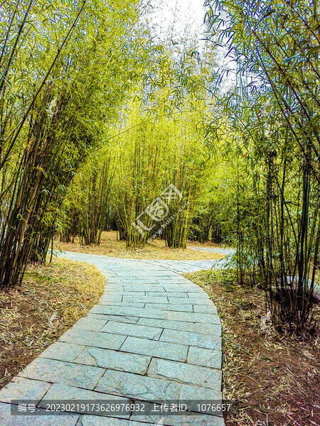 林間小路