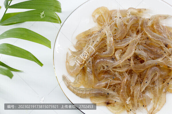 一盤小海蝦