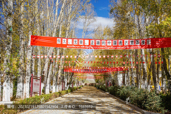 西藏拉薩林周農(nóng)場