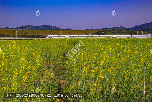 花海里的高鐵