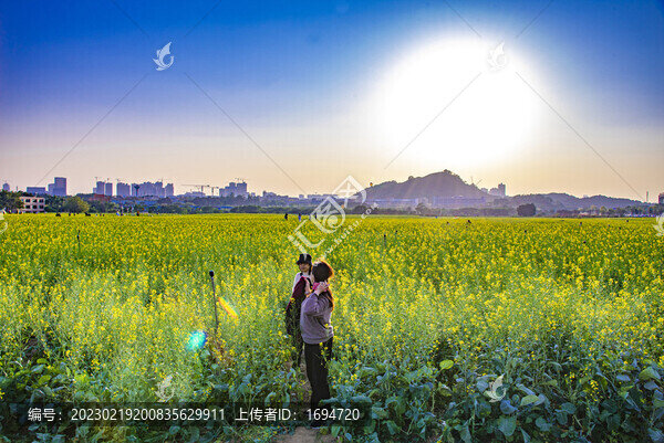 花海里的人