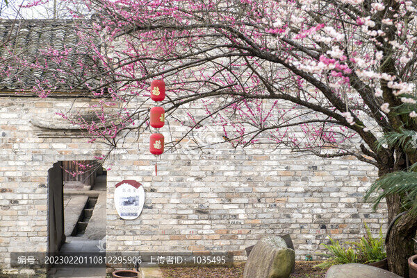 梅花與徽派建筑