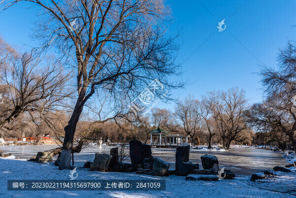 冬天雪后中國(guó)沈陽(yáng)北陵公園