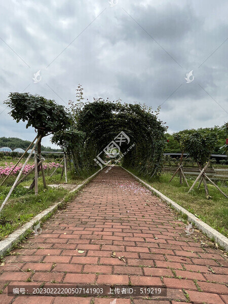 廊架