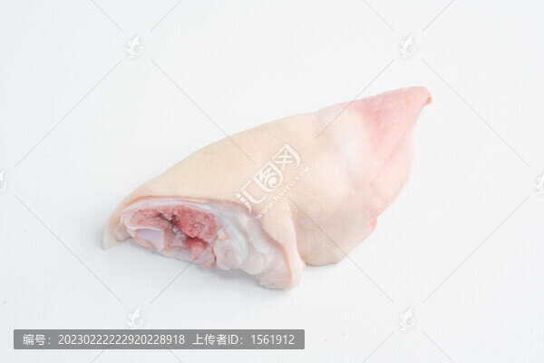 生鮮豬蹄