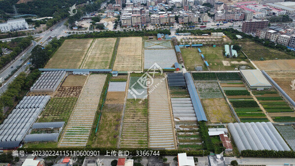 廣東東莞維康生態(tài)園
