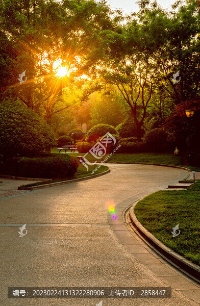 公園晨曦