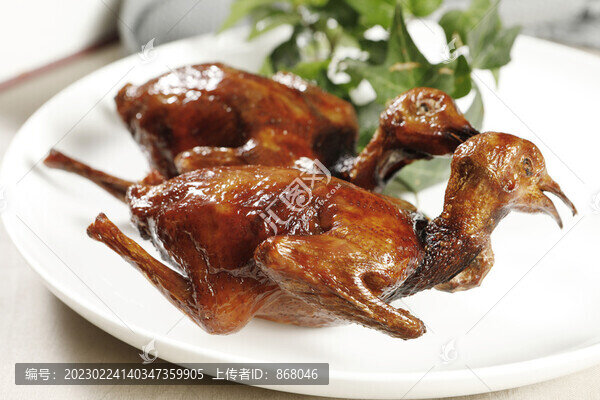 脆皮乳鴿