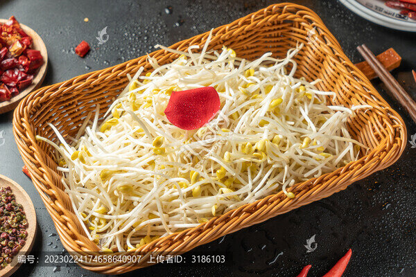 豆芽
