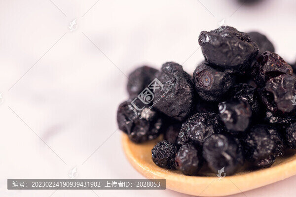 藍(lán)莓零食藍(lán)莓干