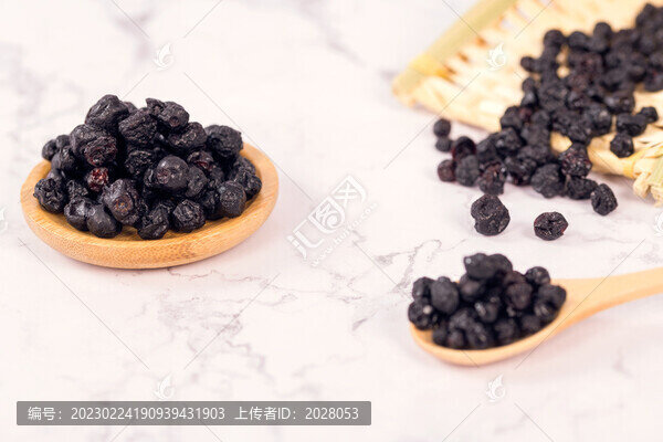 藍莓水果干素材