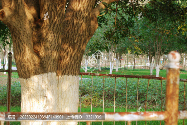 武漢解放公園