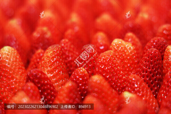 水果草莓