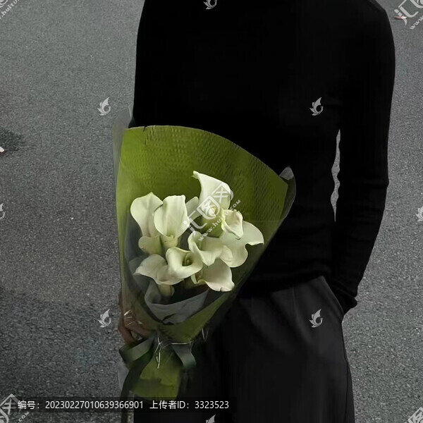 馬蹄蓮
