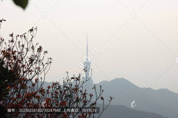 深圳梧桐山