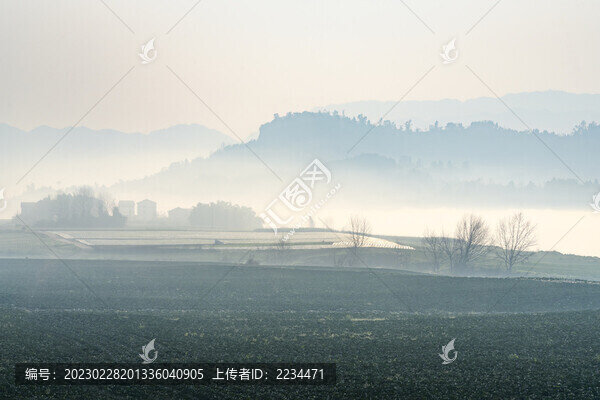 田園夢(mèng)境