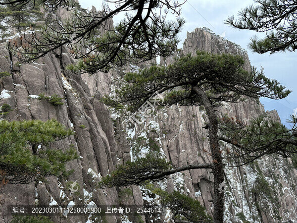 黃山風(fēng)光