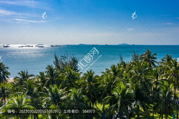 航拍三亞灣度假區(qū)海岸線椰林