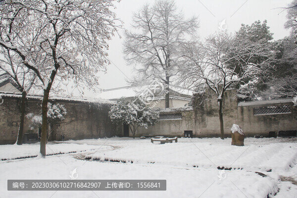 紹興雪景魯迅故里百草園