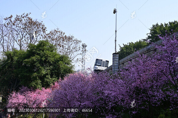 春天的列車