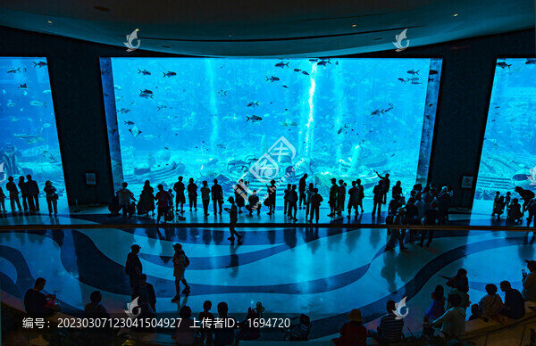 水族館的游客們