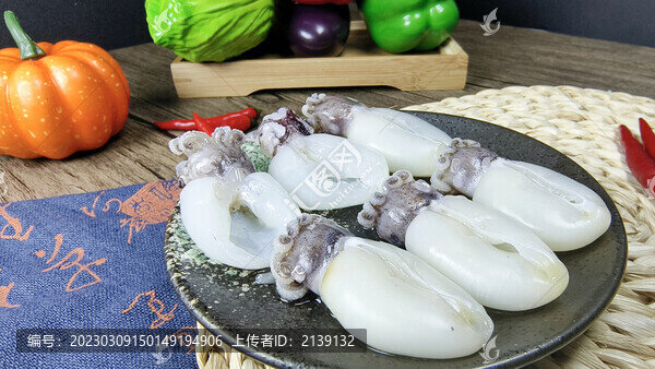 小墨魚
