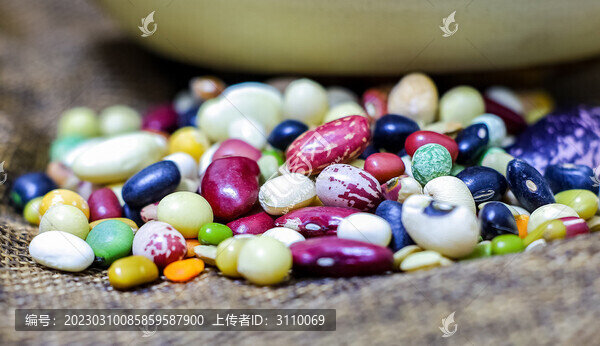 五谷雜糧糧食農(nóng)作物豆類特寫