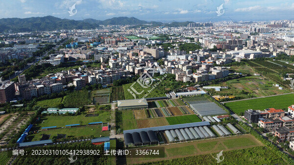 廣東東莞維康生態(tài)園
