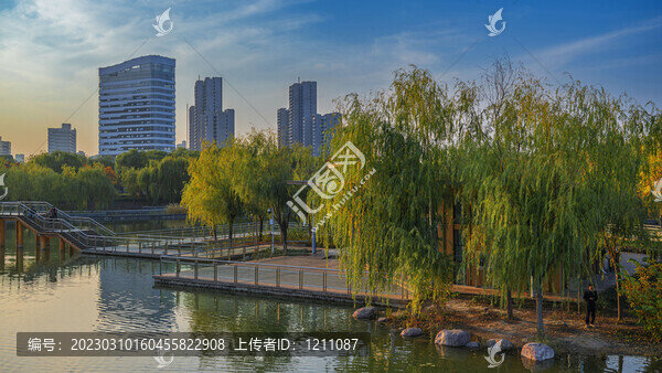 我的家鄉(xiāng)