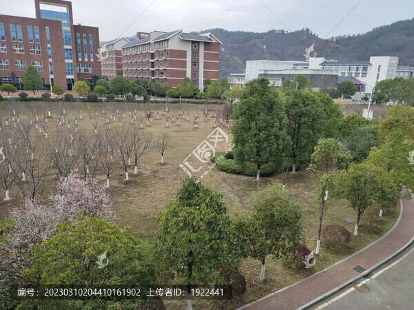 學(xué)校與綠植