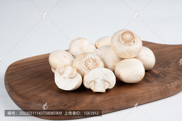 白蘑菇口蘑蘑菇