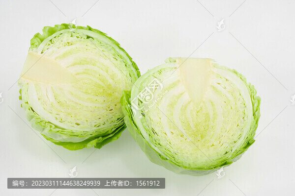 圓白菜包菜