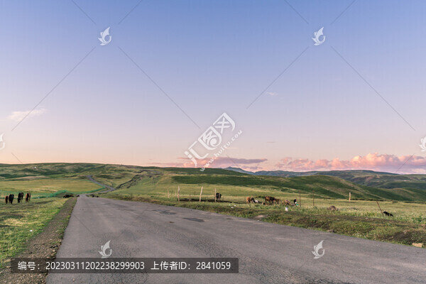 新疆夕陽下的草原道路