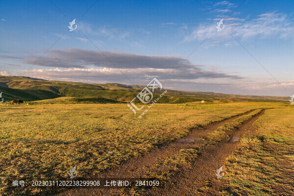 新疆夕陽(yáng)下的草原道路
