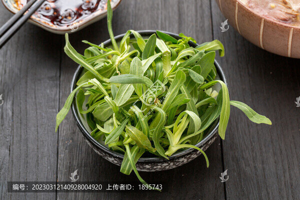 莙荙菜