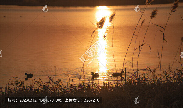 夕陽(yáng)下的景色
