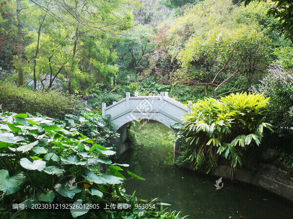 小橋