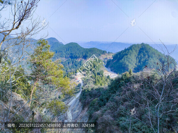 楊柳關