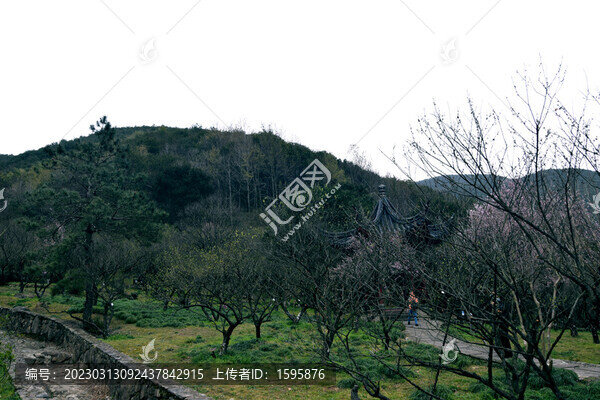九峰山梅園