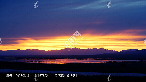 巴音布魯克羊群
