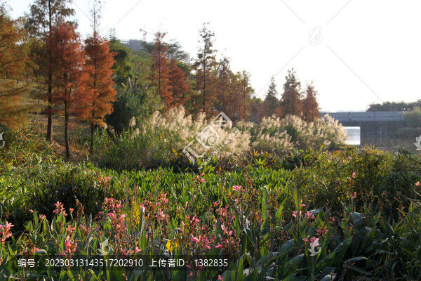廣州大觀濕地公園