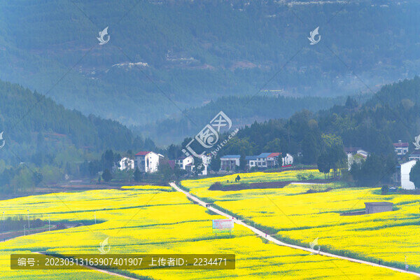 希望的田野