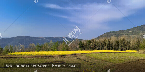 希望的田野